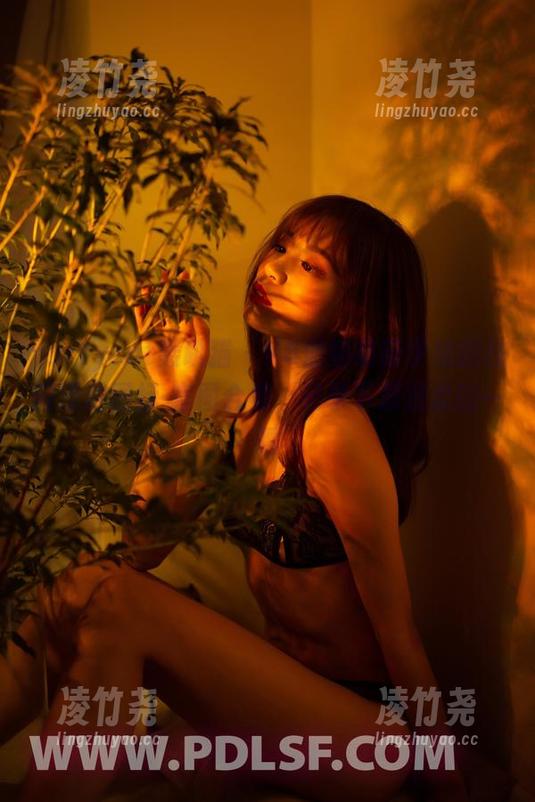 partycat轰趴猫 - K8傲娇萌萌学姐的校园漫游图标-套图合集，记录下那温柔的一瞬