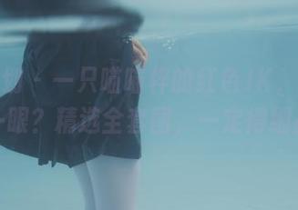 紧急企划 – 一只喵喵梓的红色JK，谁说只能看一眼？精选全套图，一定得细品品。